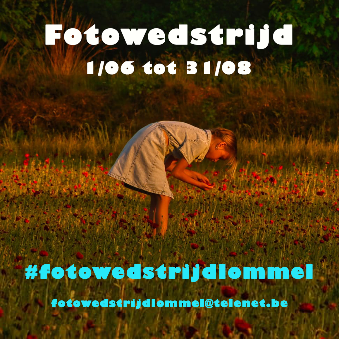 Fotowedstrijd